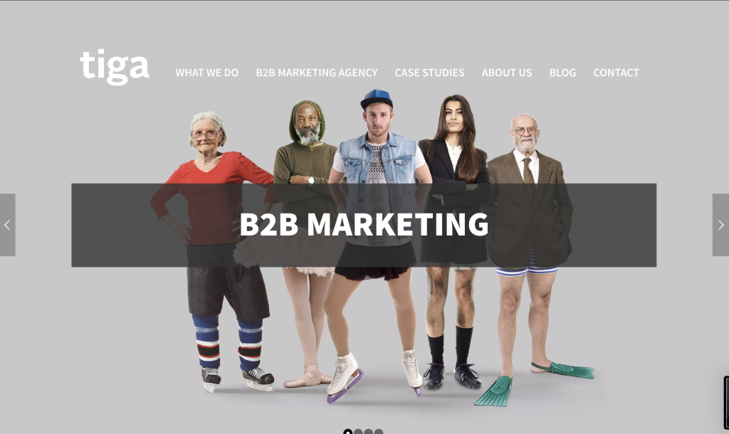 Tiga Creative Marketing - B2B content marketing studio/agency