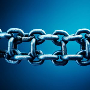 link building