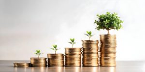 Coins stacked up in increasing length with tree leaves on top of them, representing investing